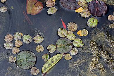 《莱莎的炼金工房3》上架Steam 明年发售可加入愿望单